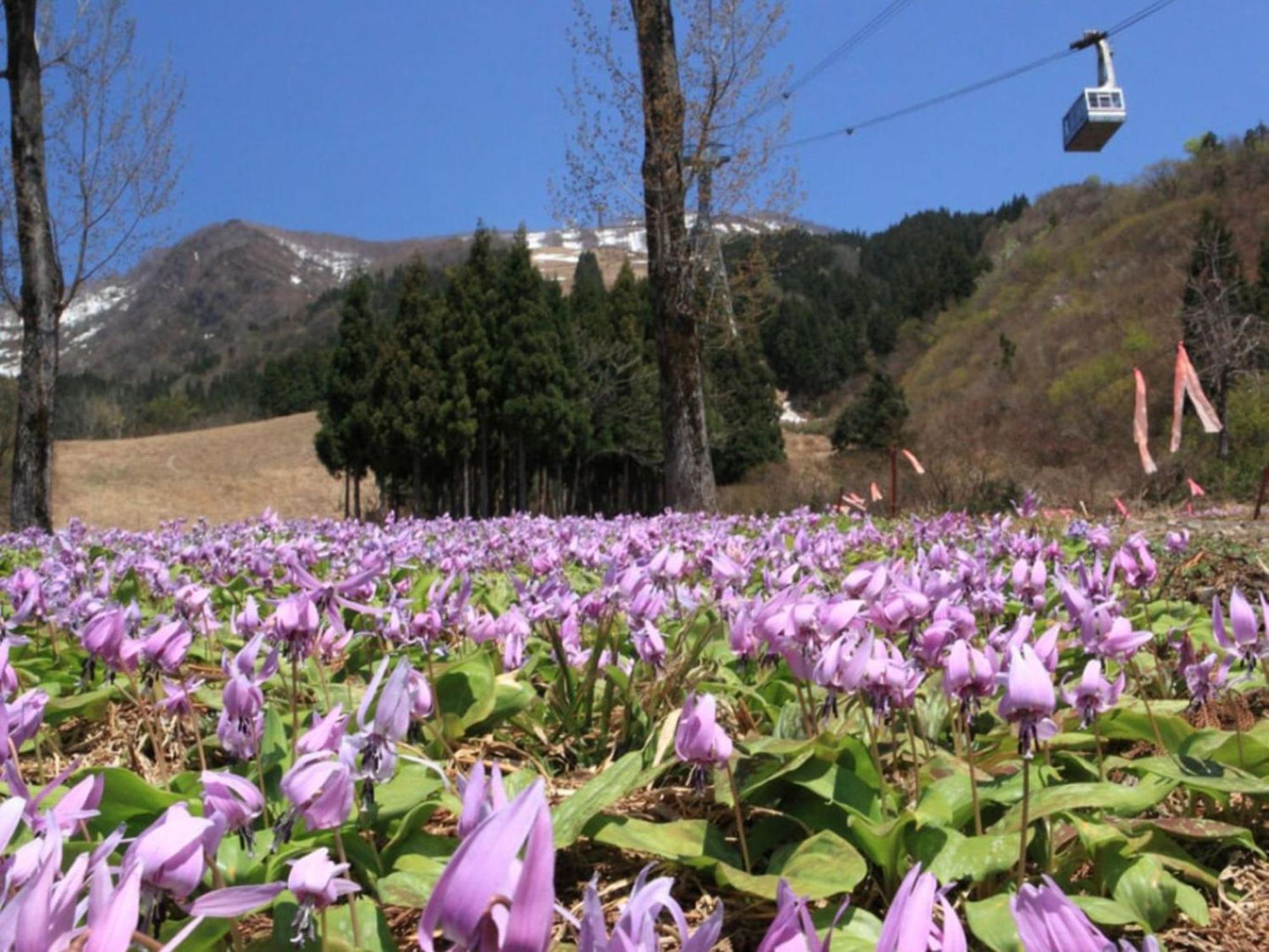 Pension Come Healing Tatami-Room- Vacation Stay 14980 Minamiuonuma Zewnętrze zdjęcie